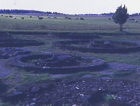 Estonia Countryside:  Graveyard, 800 BC