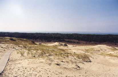 Path to Peak of Vecekrugas Sand Dune
