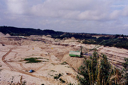 Large Amber Mine