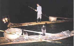 Cormorant Fishing Raft