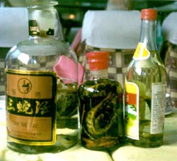 Snake Wine