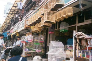 Shanghai Bird Market