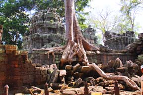 Ta Prohm: The Jungle Temple