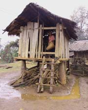 Hmong Village